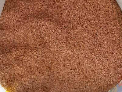 BG大游(中国)唯一官方网站