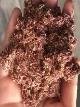 BG大游(中国)唯一官方网站